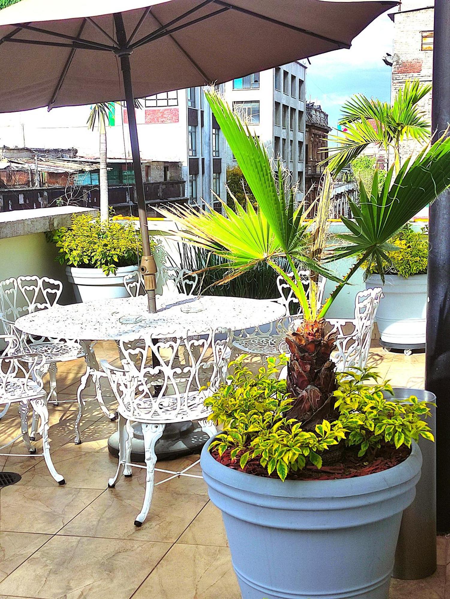 Hotel Habana เม็กซิโกซิตี้ ภายนอก รูปภาพ