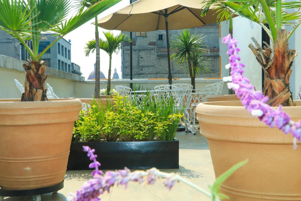 Hotel Habana เม็กซิโกซิตี้ ภายนอก รูปภาพ